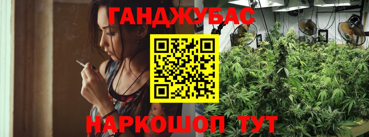 Каннабис план Гулькевичи